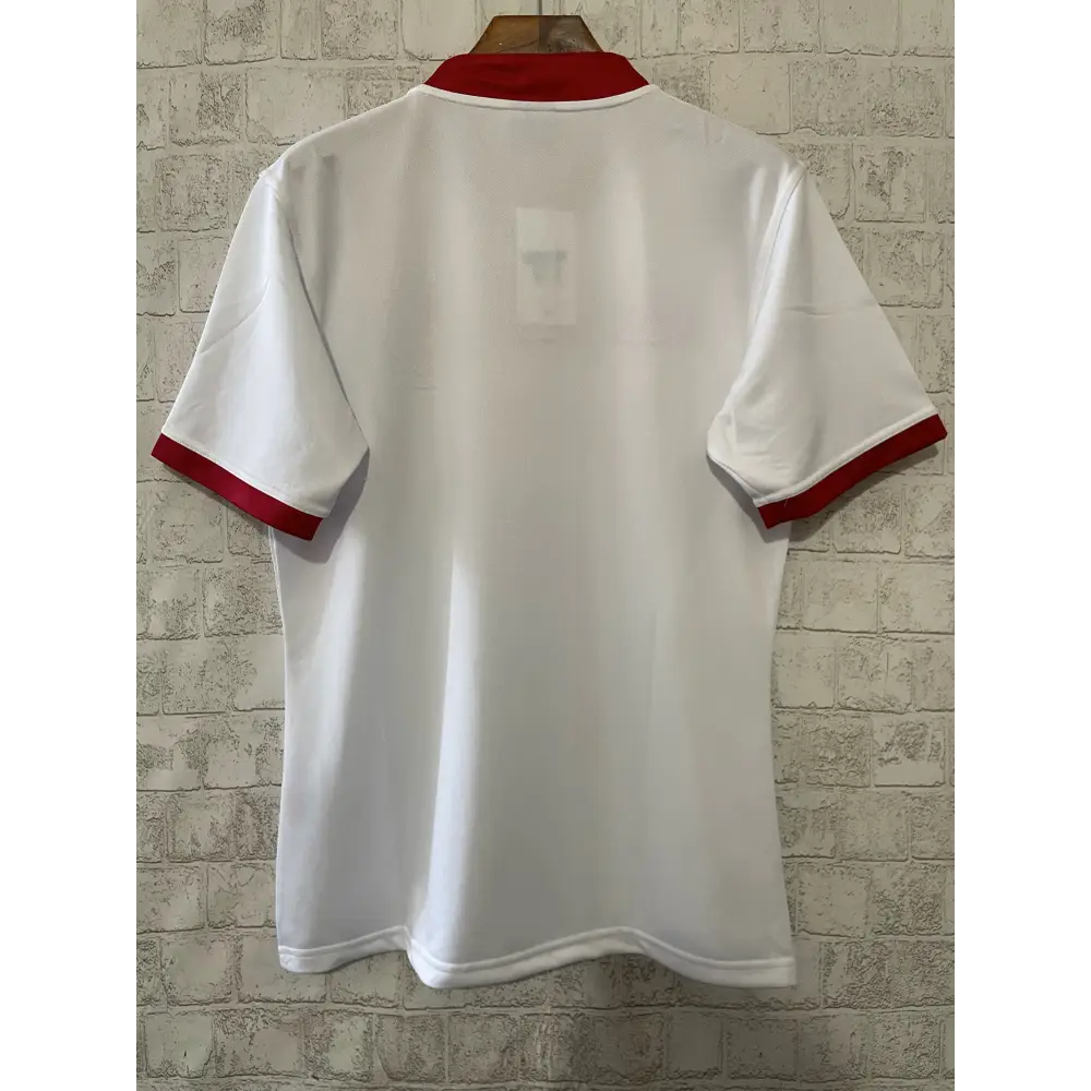 Maillot Rugby Lions Britanniques Et Irlandais 2025/2026