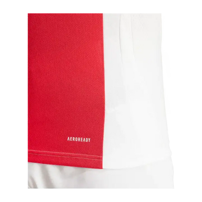 Ajax Amsterdam Domicile 2024/2025