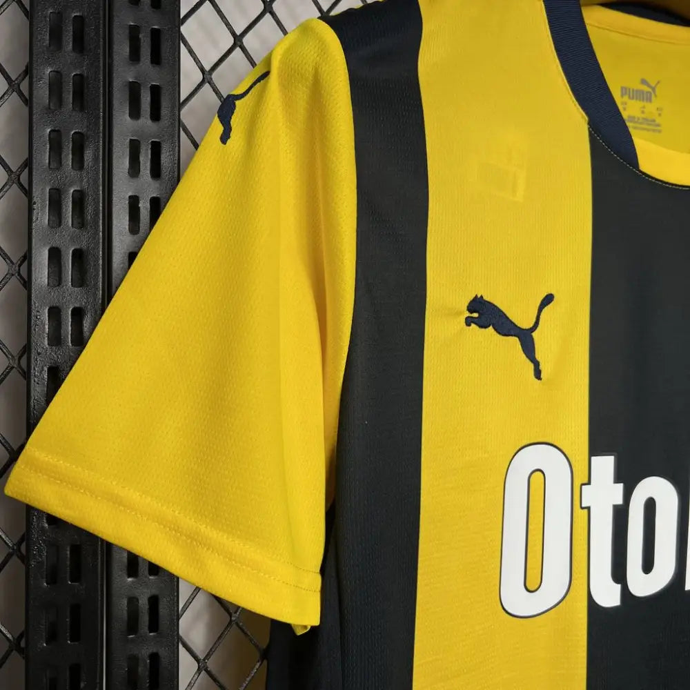 Fenerbahçe SK Domicile 2024/2025