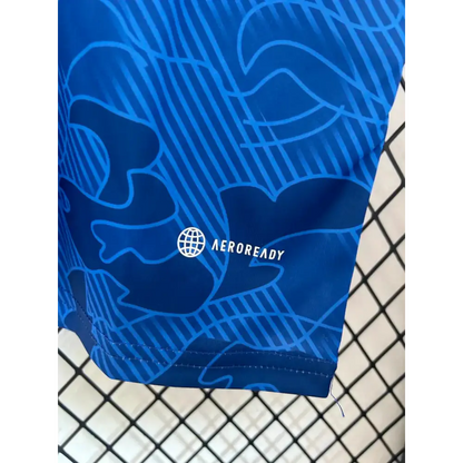 Japon Concept Blue Cargo