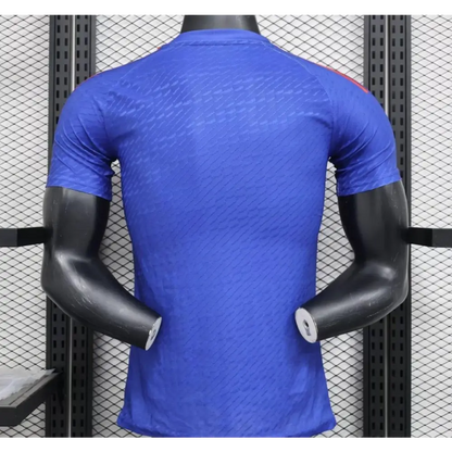 Japon Concept Blue Samouraï