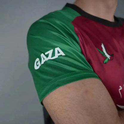 Palestine Stand For Gaza